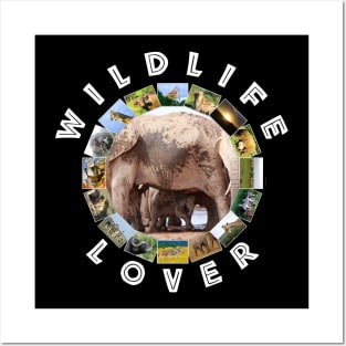 Wildlife Lover Elephant Baby Posters and Art